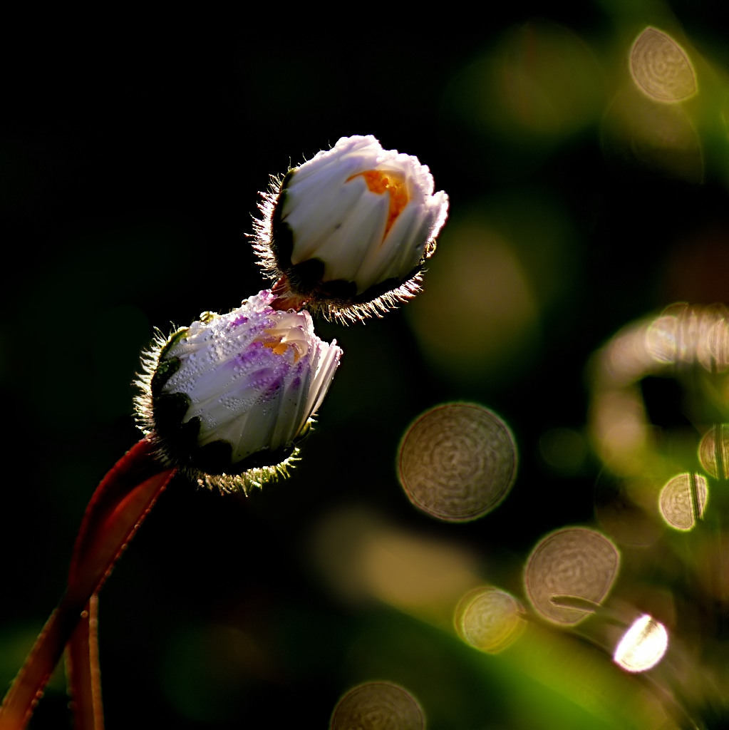 P11304433.JPG