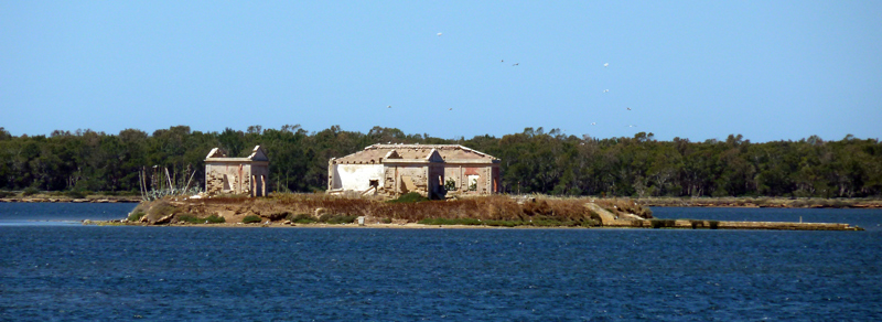 P1140148-ritaglio.jpg