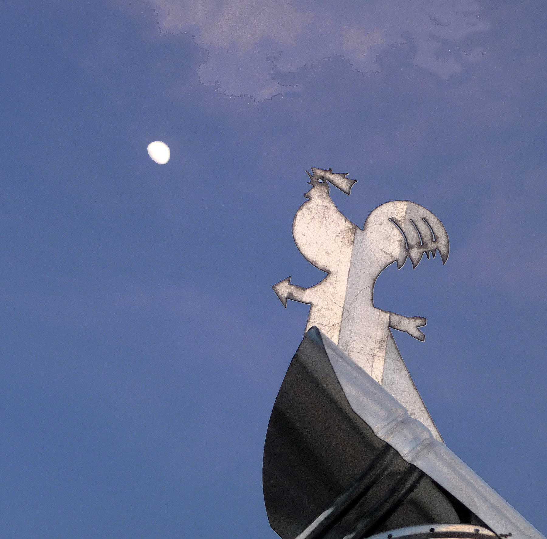 P1140949-ridottascura.jpg