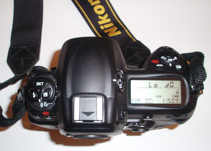 P1150127.jpg