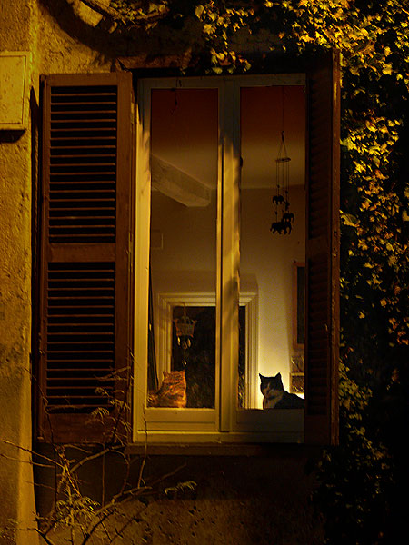 P1160149.jpg
