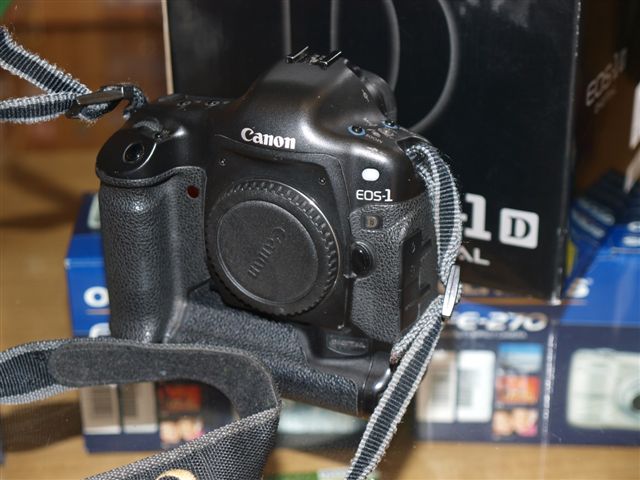 P1250499.JPG