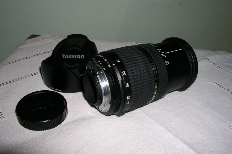 P1280053.JPG