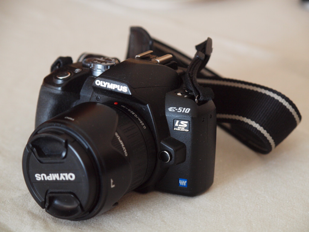 P1317400.JPG
