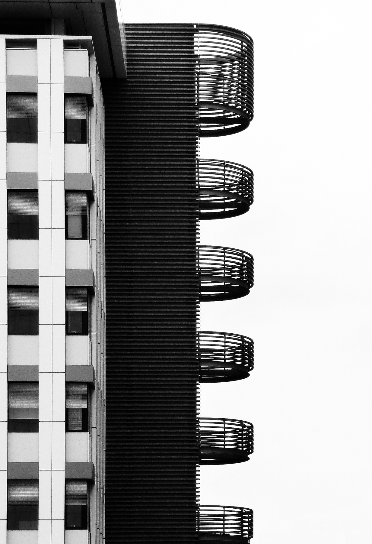 P1320851-bn-ridotta.jpg