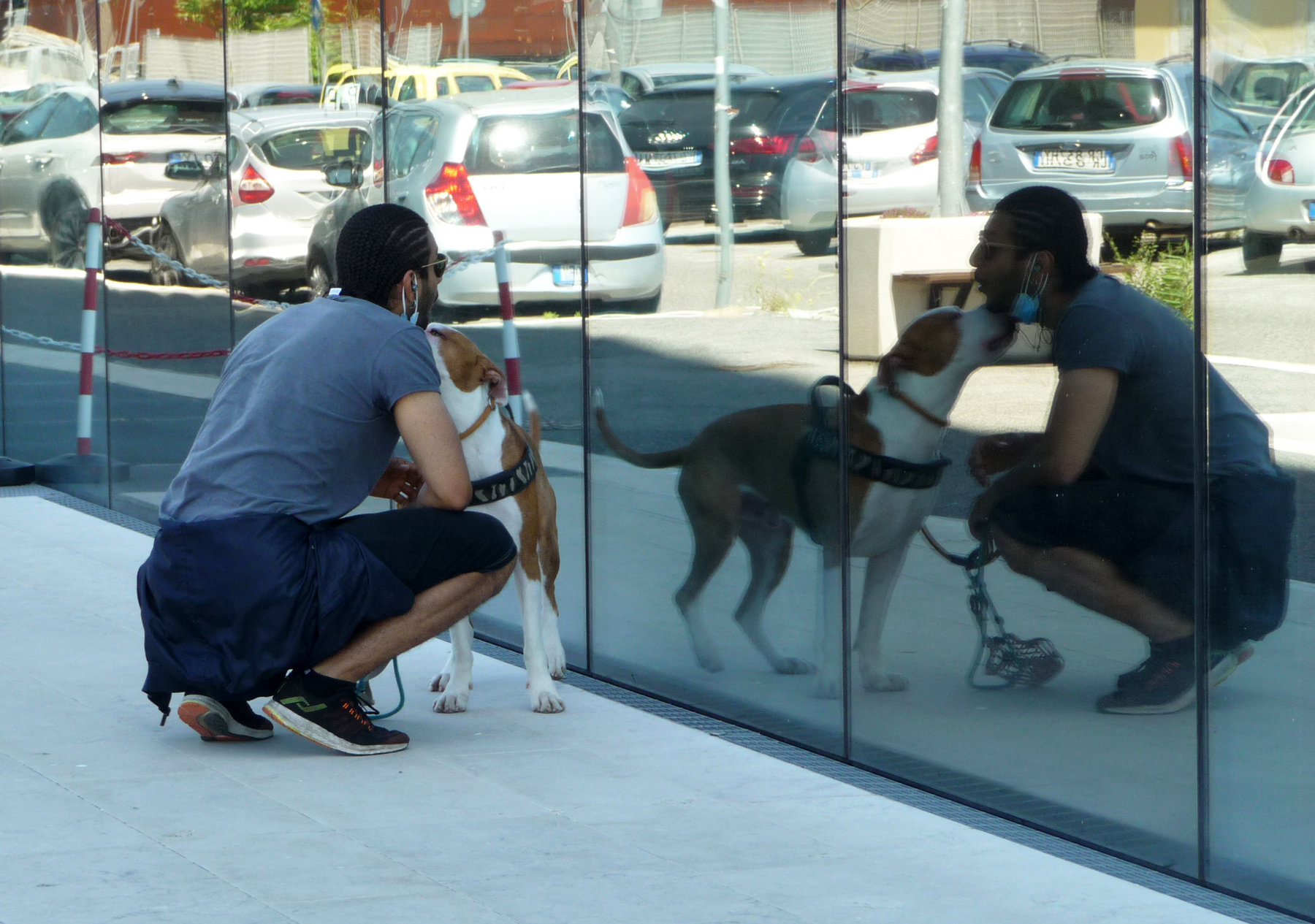 P1330869-dt-ridotta.jpg