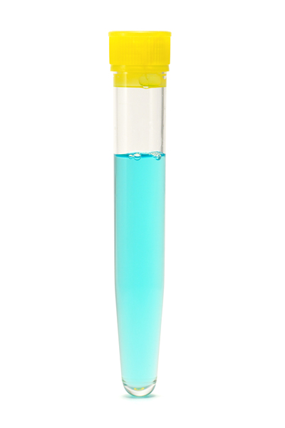 p1.jpg