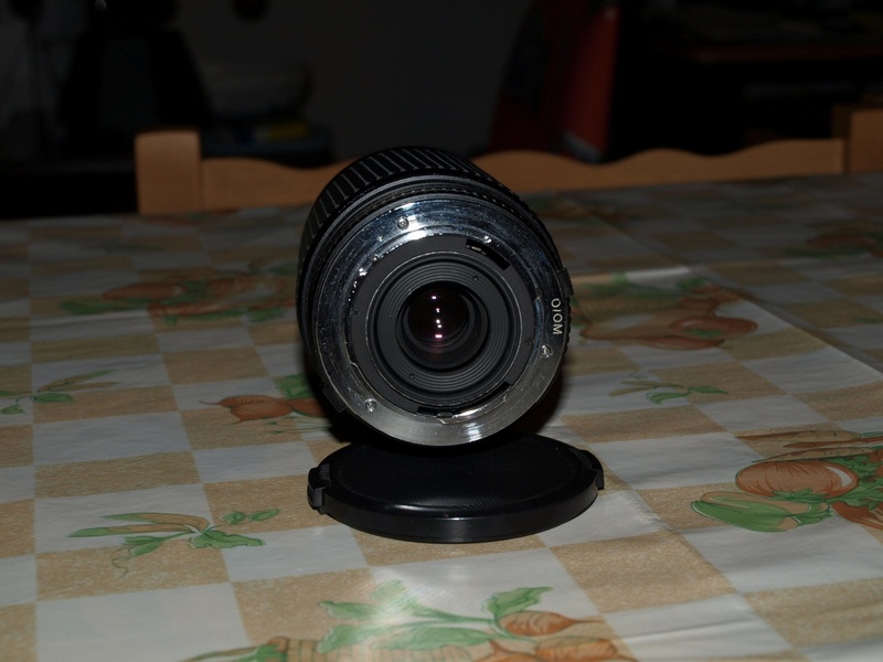 P2019949.JPG