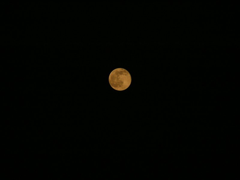 p2061939.sized.jpg