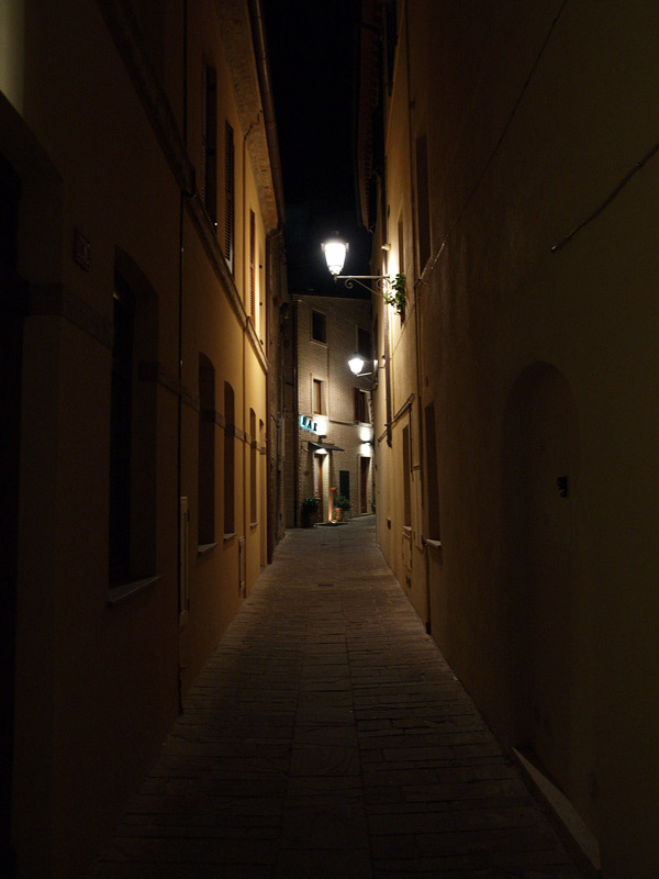 P2245331L2.jpg