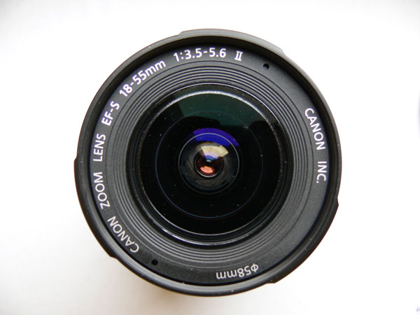P2.jpg