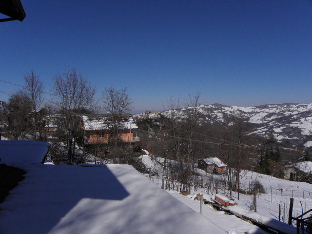 P3060575.JPG