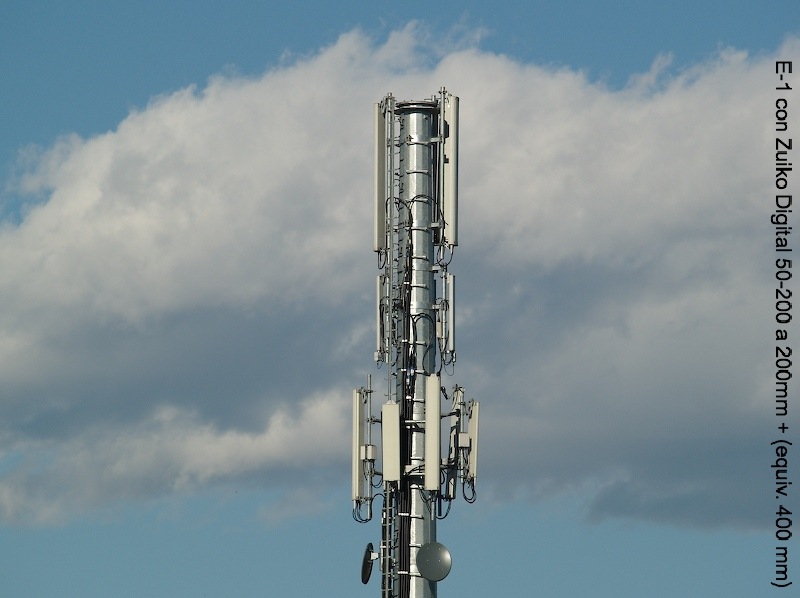 P3298500wtmkwtmk.jpg