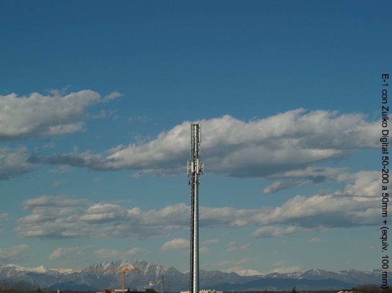 P3298502wtmkwtmk.jpg