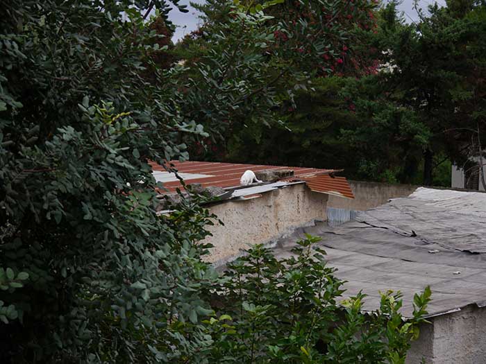 p3.jpg