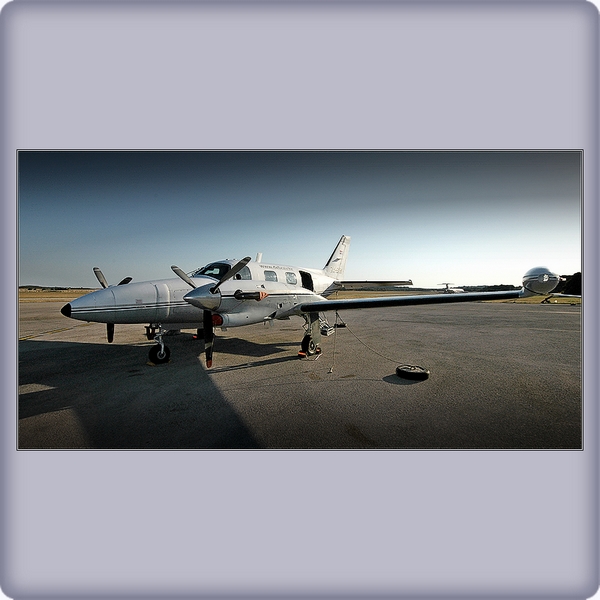 p4_600.jpg