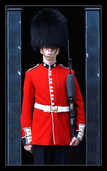 p4u - guardia reale.jpg