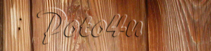p4u_4-5.jpg