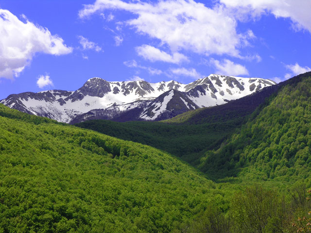P5070380_800_600.jpg