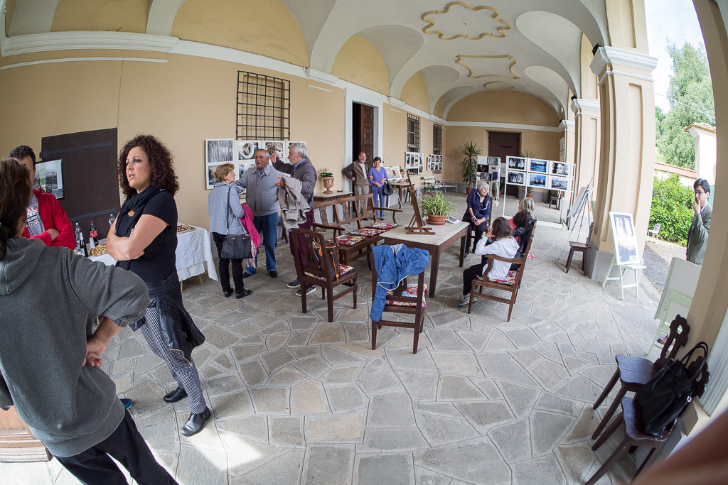 P5231159.jpg