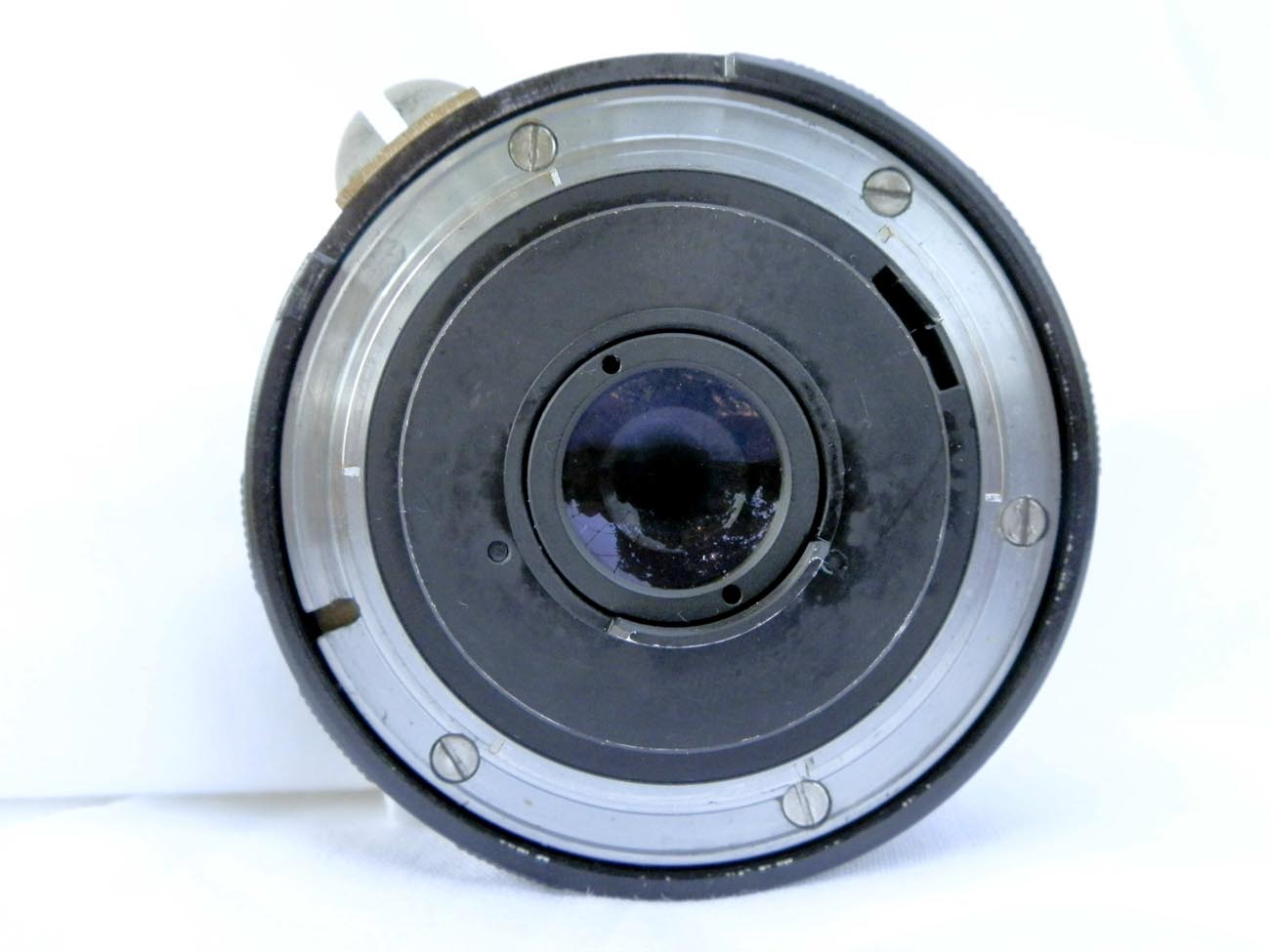 P5242544 .jpg