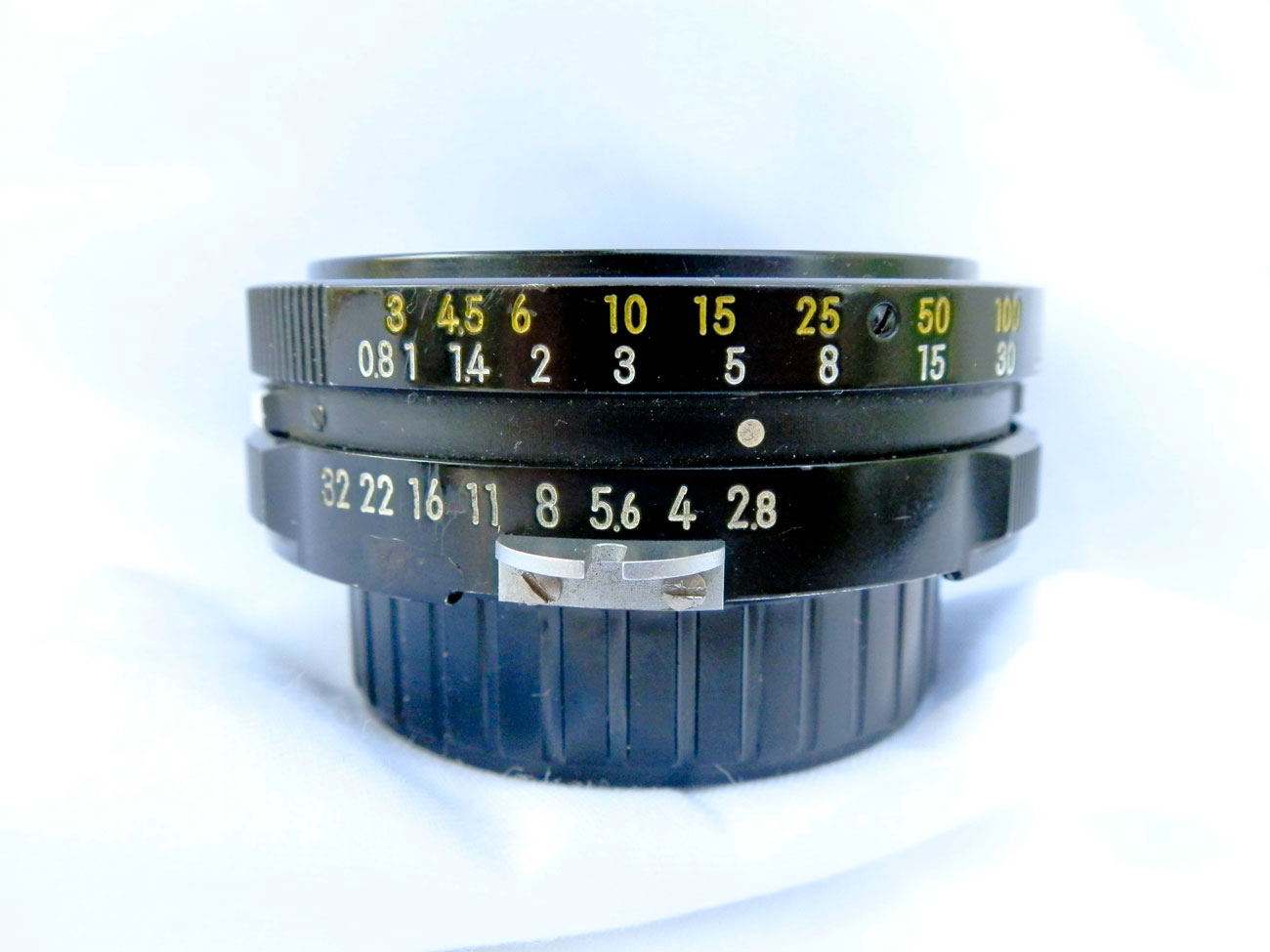 P5242548-_1.jpg