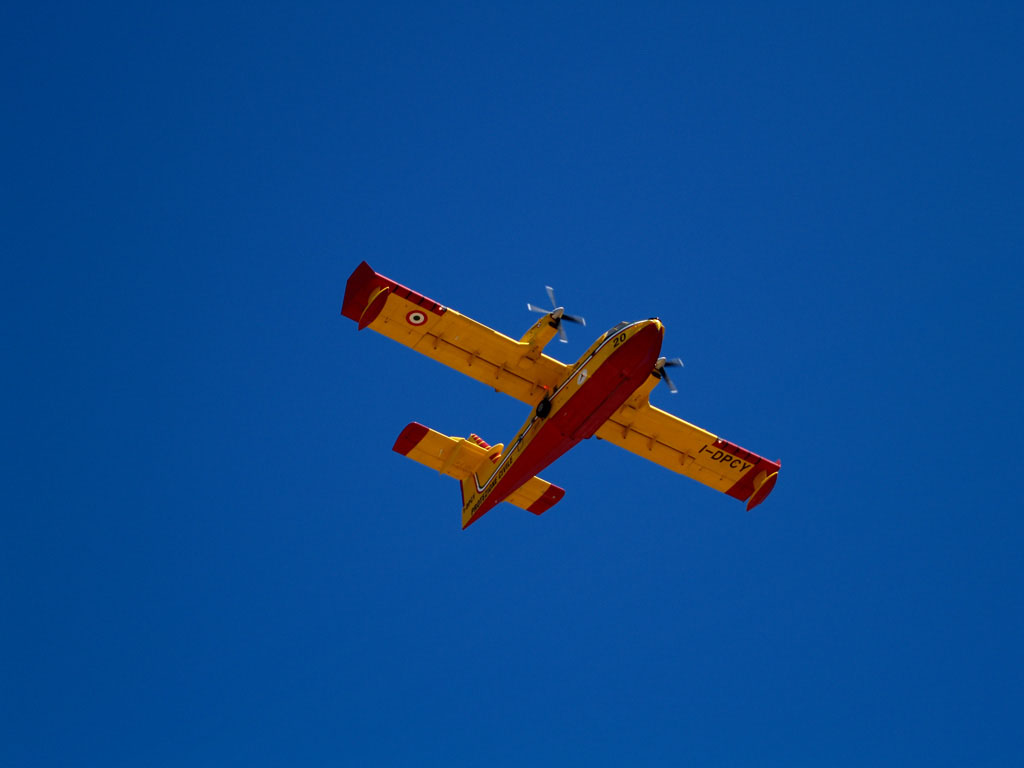 P5270882.jpg