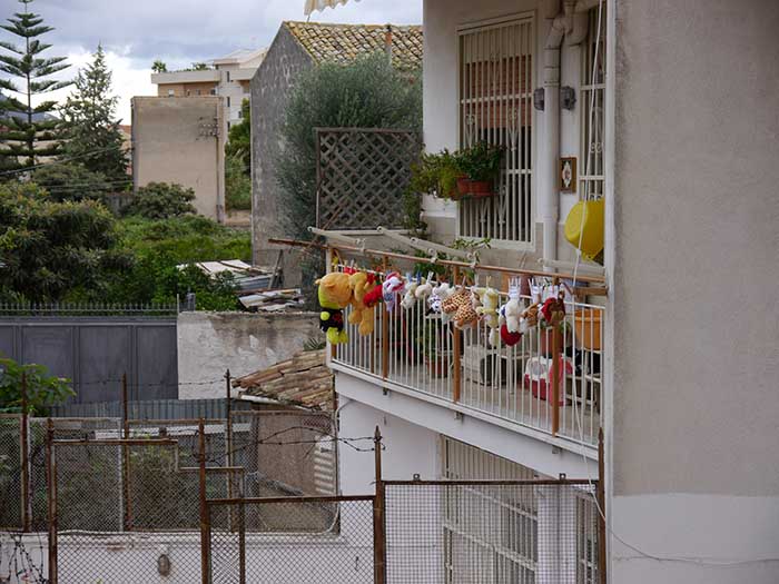 p5.jpg