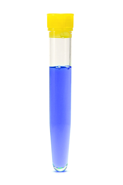 p5.jpg