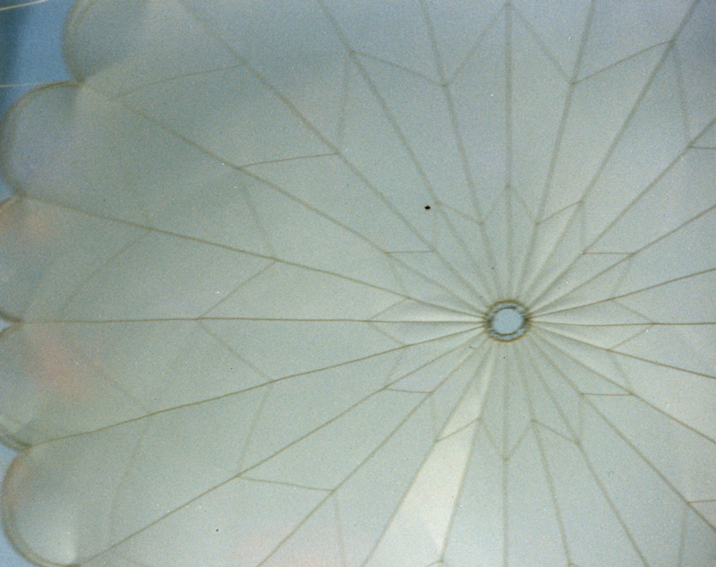 p5.jpg