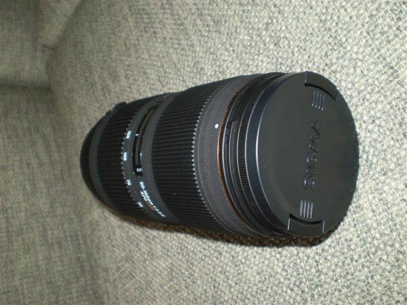 P7110004 (Medium).JPG
