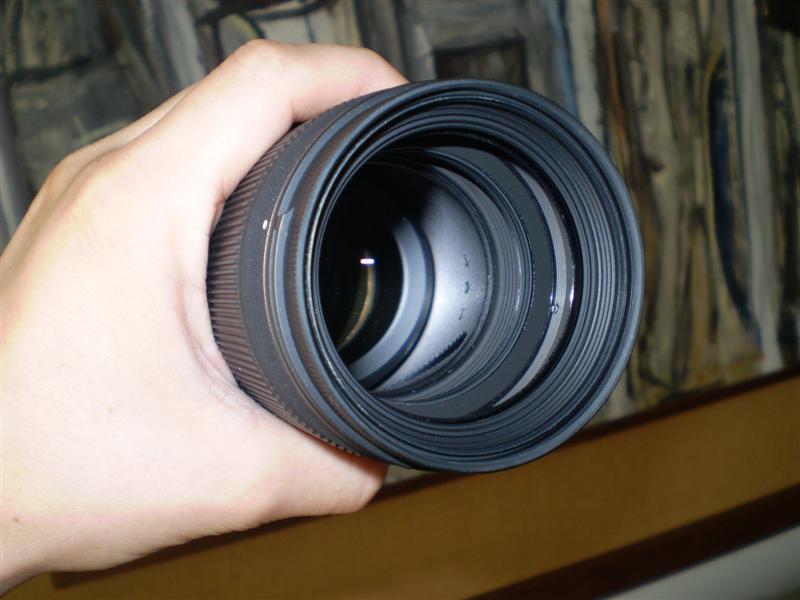 P7110006 (Medium).JPG