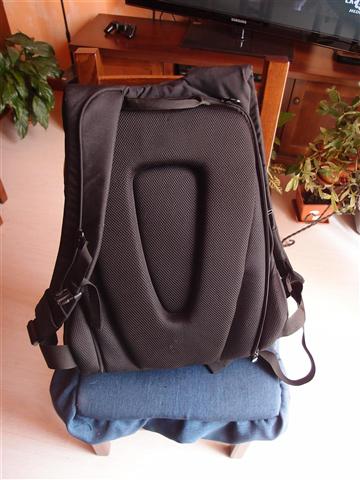 P8020339 (Large) (Small).JPG