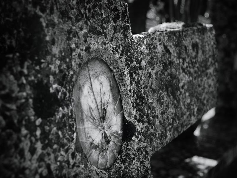 P8043094_1CruxCruda.jpg