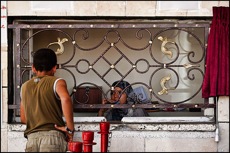 P8076405 [800x600].jpg