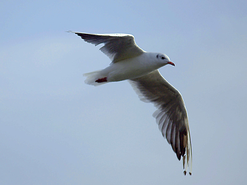 p8101938_146.jpg