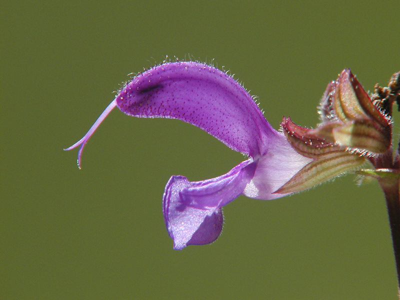 P8144363web.JPG