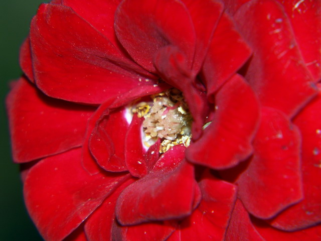 P9022042.jpg