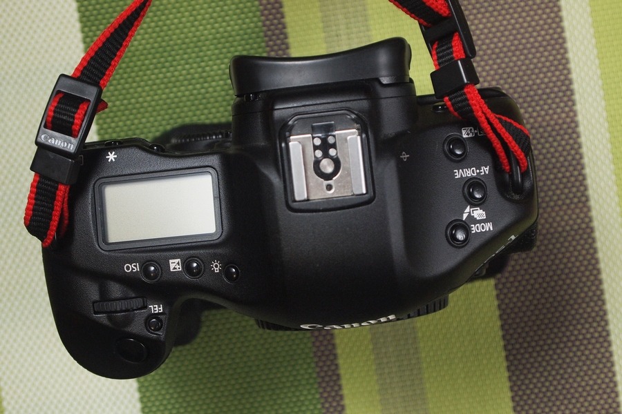 P9130162.JPG
