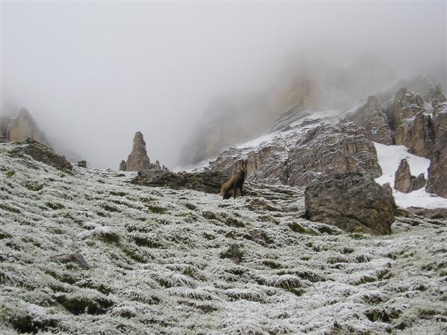 P9160100 (Small).JPG