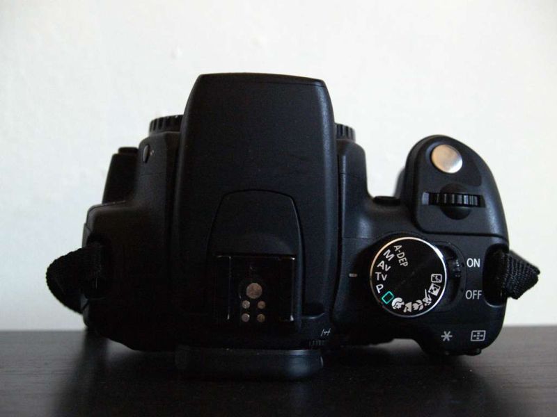 p9170286_213.jpg