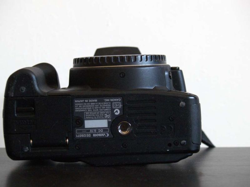 p9170292_625.jpg