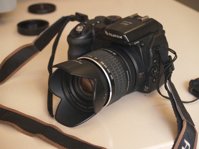 P9173256.JPG