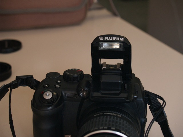 P9173257.JPG