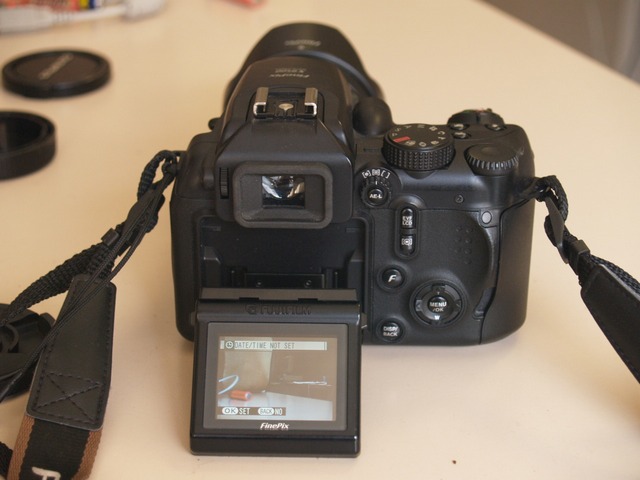 P9173258.JPG