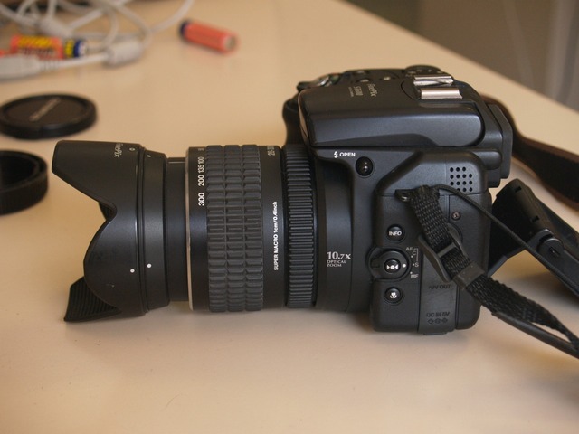 P9173259.JPG