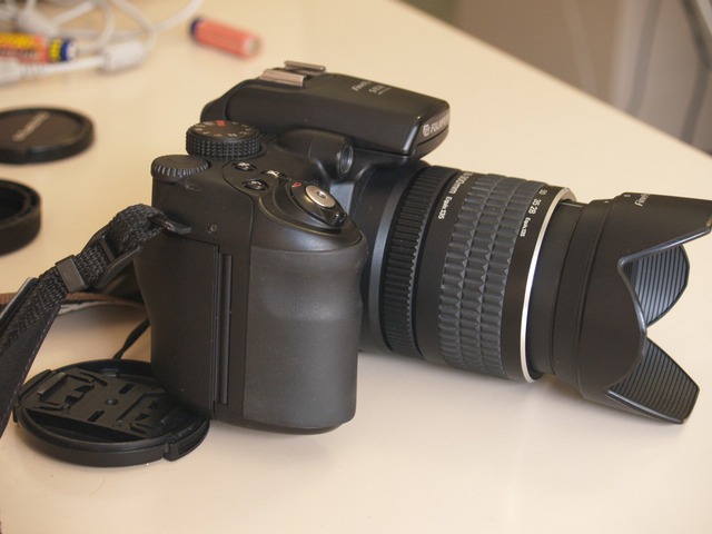 P9173260.JPG