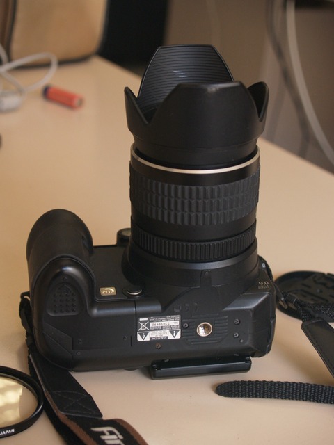 P9173261.JPG