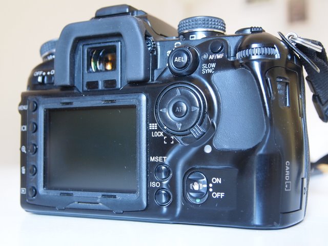 P9221862.JPG