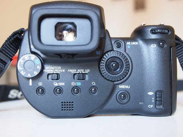 P9221874.JPG
